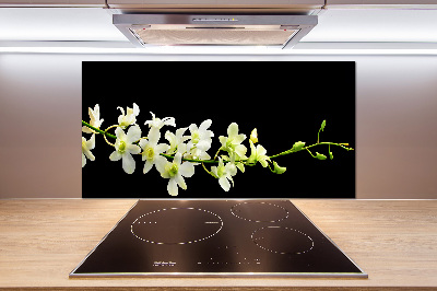 Spatscherm keuken Orchidee