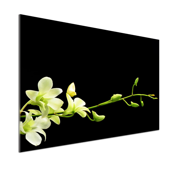Spatscherm keuken Orchidee