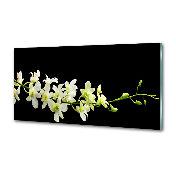 Spatscherm keuken Orchidee