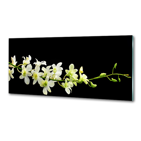 Spatscherm keuken Orchidee