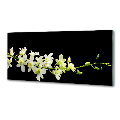 Spatscherm keuken Orchidee