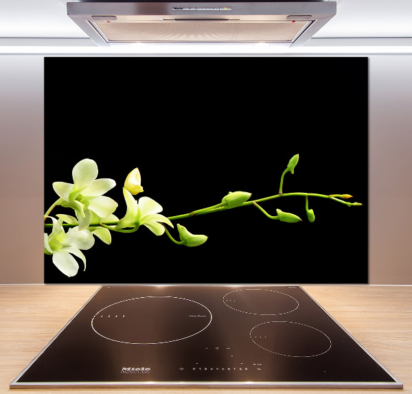 Spatscherm keuken Orchidee