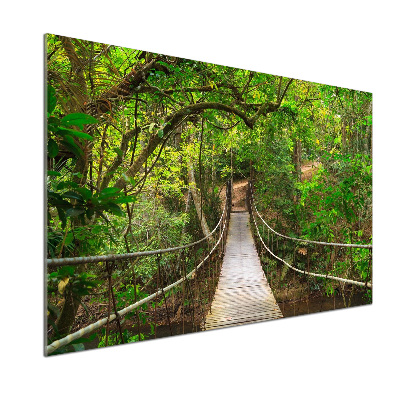 Panel dekor szkło Most linowy