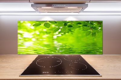 Glazen achterwand keuken Groene bladeren