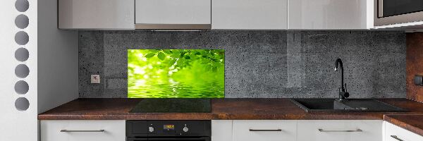 Glazen achterwand keuken Groene bladeren