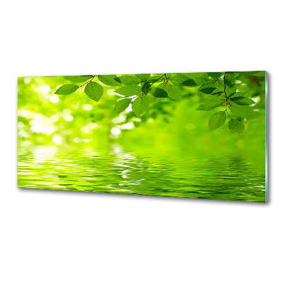 Panel do kuchni Zielone liście