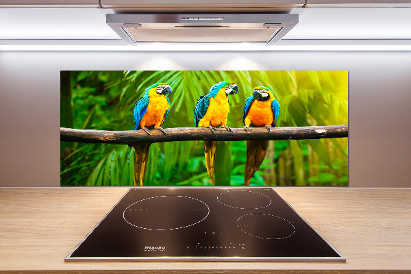 Spatscherm keuken Papegaaien op een tak