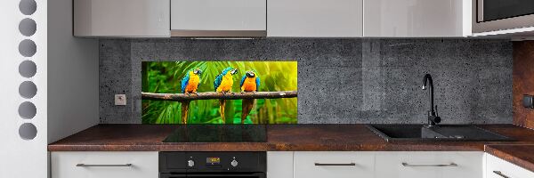 Spatscherm keuken Papegaaien op een tak