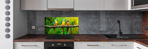 Spatscherm keuken Papegaaien op een tak