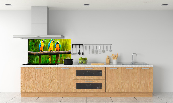 Panel do kuchni Papugi na gałęzi