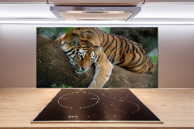 Panel do kuchni Tygrys na drzewie