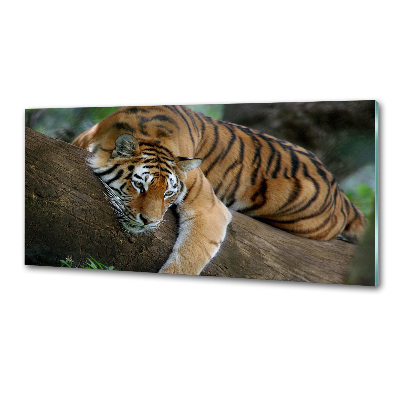 Panel do kuchni Tygrys na drzewie