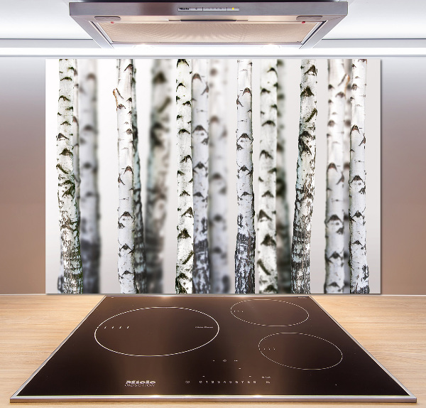 Panel dekor szkło Pnie brzozy
