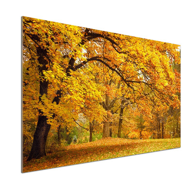 Panel do kuchni Jesień w parku