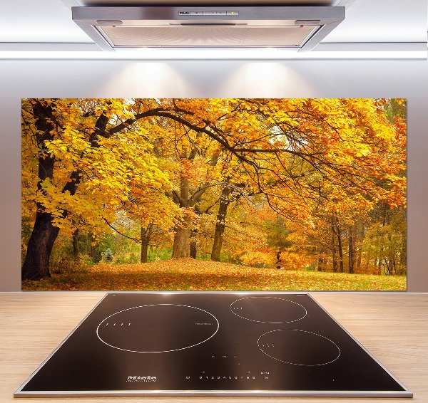 Panel do kuchni Jesień w parku