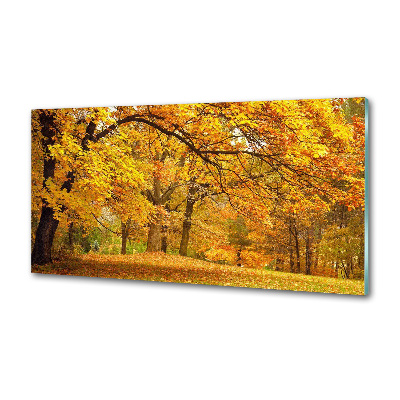 Panel do kuchni Jesień w parku