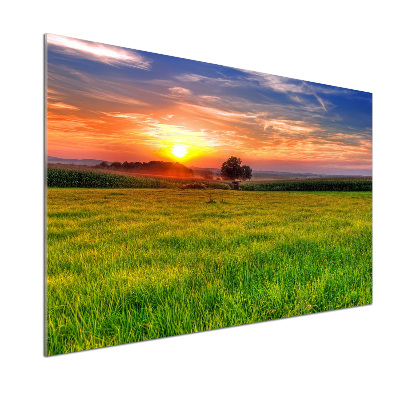Achterwand keuken Zonsondergangweide