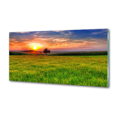 Achterwand keuken Zonsondergangweide