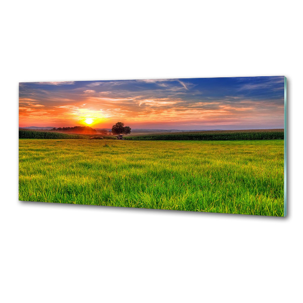 Achterwand keuken Zonsondergangweide