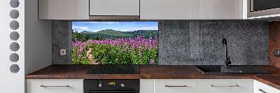 Spatscherm keuken Groene heuvels
