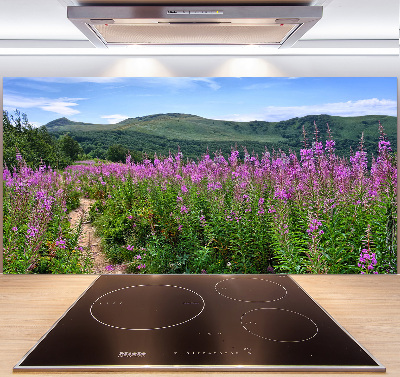 Spatscherm keuken Groene heuvels