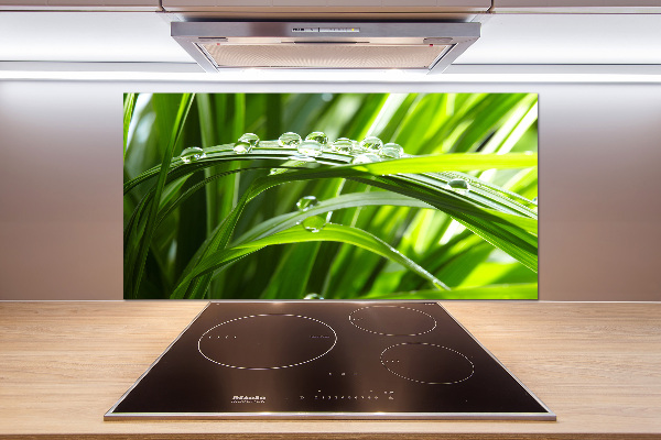 Spatscherm keuken Druppels op het gras