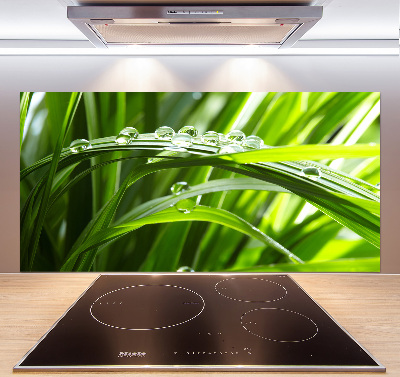 Spatscherm keuken Druppels op het gras