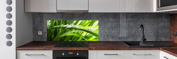 Spatscherm keuken Druppels op het gras