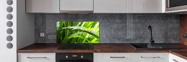 Spatscherm keuken Druppels op het gras