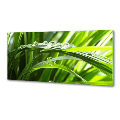Panel do kuchni Krople na trawie