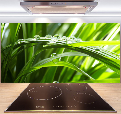 Spatscherm keuken Druppels op het gras