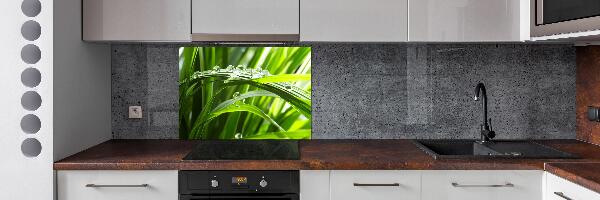 Spatscherm keuken Druppels op het gras