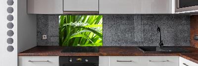 Spatscherm keuken Druppels op het gras