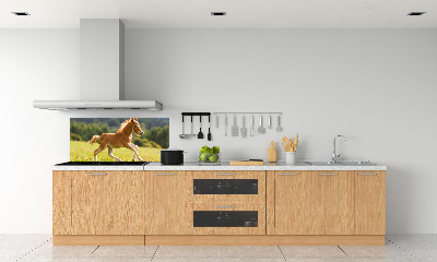 Spatscherm keuken Een veulen dat galoppeert
