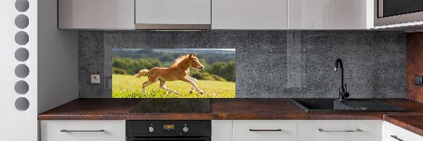 Spatscherm keuken Een veulen dat galoppeert
