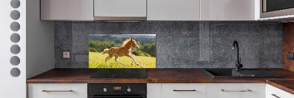 Spatscherm keuken Een veulen dat galoppeert