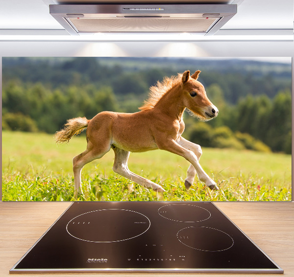 Spatscherm keuken Een veulen dat galoppeert