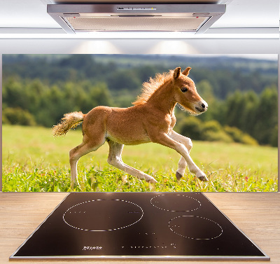Spatscherm keuken Een veulen dat galoppeert