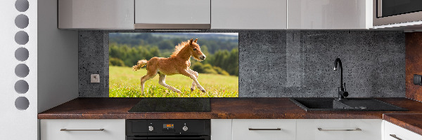 Spatscherm keuken Een veulen dat galoppeert