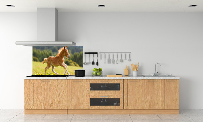 Spatscherm keuken Een veulen dat galoppeert