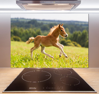 Panel do kuchni Źrebię w galopie