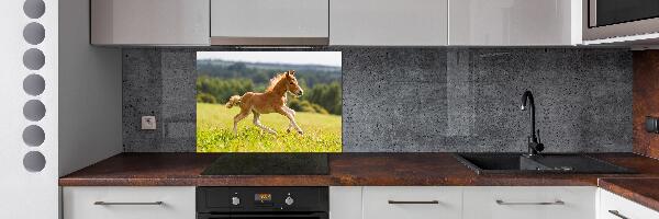 Spatscherm keuken Een veulen dat galoppeert