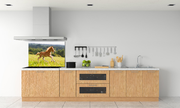 Spatscherm keuken Een veulen dat galoppeert