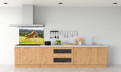 Spatscherm keuken Een veulen dat galoppeert