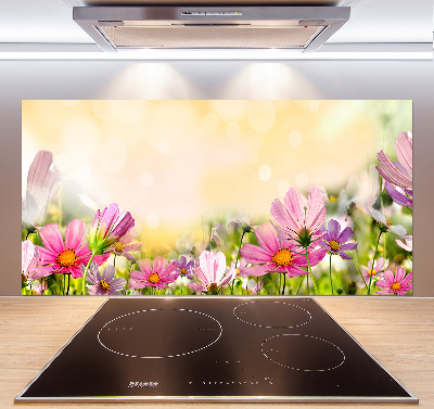 Spatplaat keuken Klaprozen