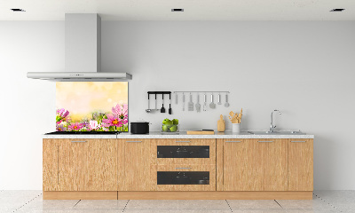 Spatplaat keuken Klaprozen
