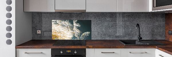 Keuken achterwand Paardenbloemzaden