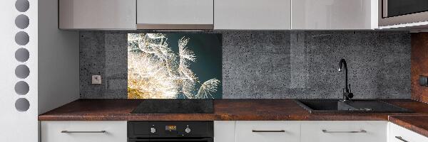 Keuken achterwand Paardenbloemzaden