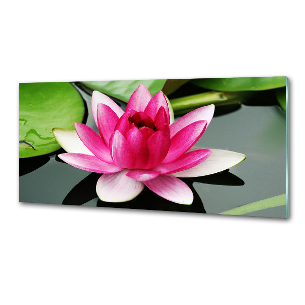 Glazen achterwand keuken Waterlelie