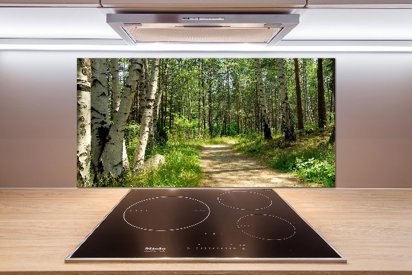 Spatscherm keuken Pad in het bos